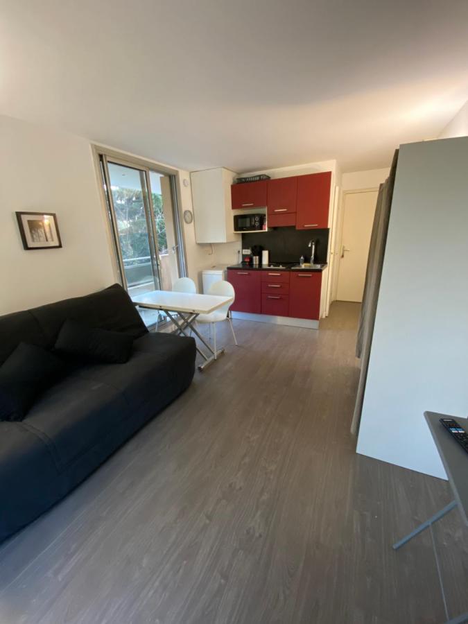 Apartament Studio Avec Terrasse, Vue Sur Jardin Nicea Zewnętrze zdjęcie